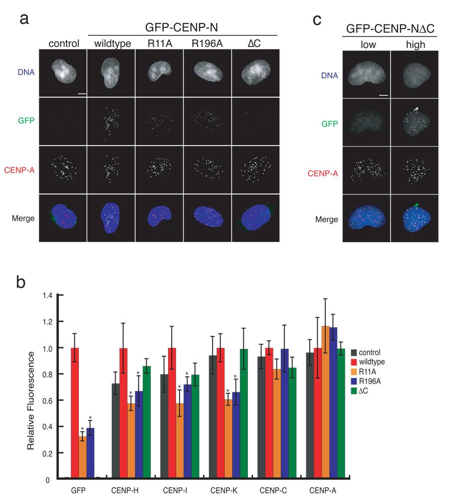 https://cdn.ncbi.nlm.nih.gov/pmc/blobs/fa97/2704923/99b74d7628ed/nihms103675f3.jpg