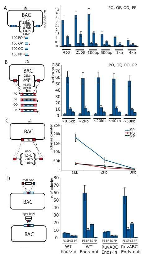 https://cdn.ncbi.nlm.nih.gov/pmc/blobs/fa9c/2918612/a4bad1e2bd89/1471-2199-11-54-9.jpg