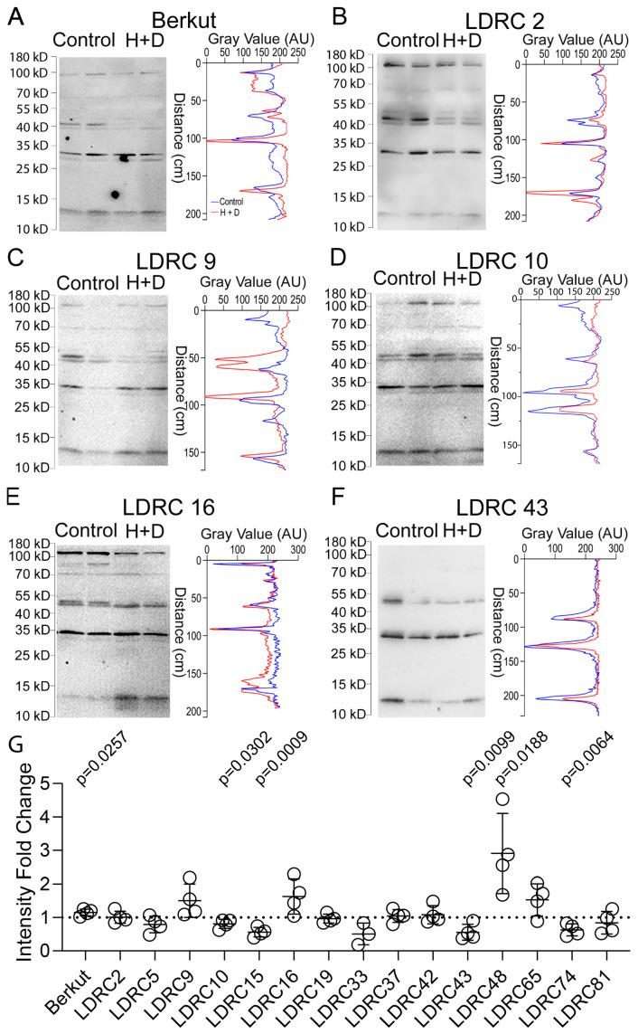 https://cdn.ncbi.nlm.nih.gov/pmc/blobs/faab/11274669/5822bd61a520/cells-13-01226-g003.jpg