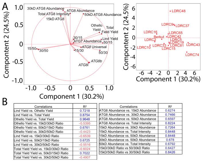 https://cdn.ncbi.nlm.nih.gov/pmc/blobs/faab/11274669/669cb4d802fa/cells-13-01226-g009.jpg