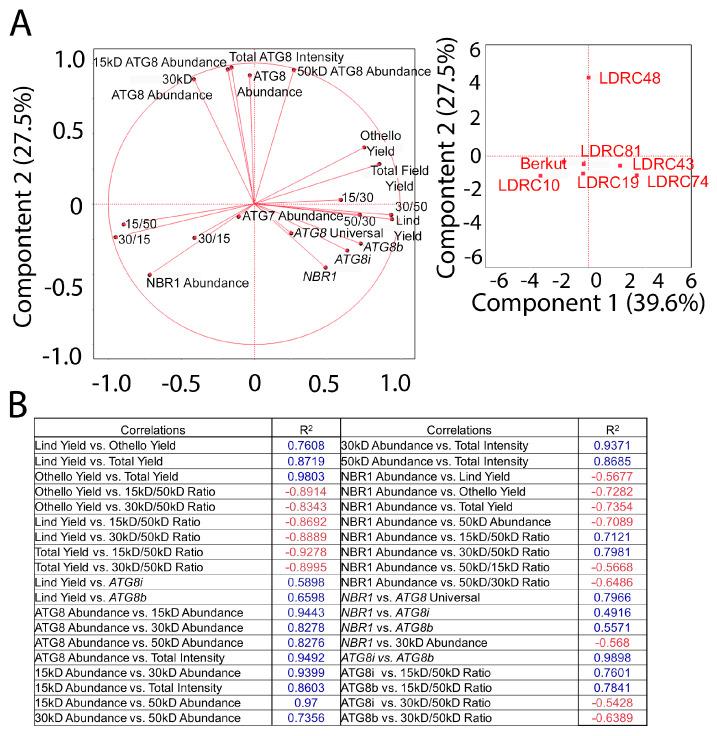 https://cdn.ncbi.nlm.nih.gov/pmc/blobs/faab/11274669/ab064d8359ce/cells-13-01226-g010.jpg