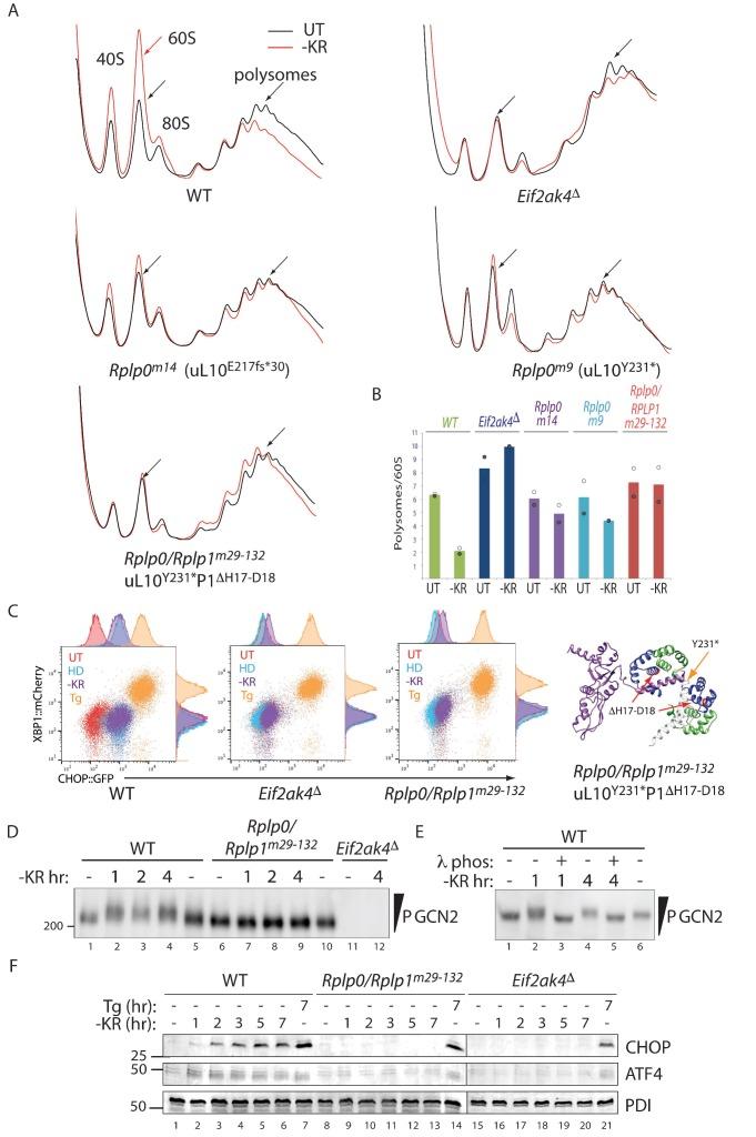 https://cdn.ncbi.nlm.nih.gov/pmc/blobs/fac8/6919976/0f68bfc4d071/elife-50149-fig3.jpg