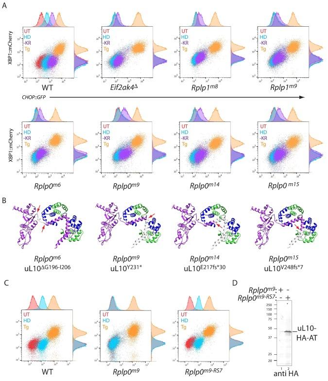 https://cdn.ncbi.nlm.nih.gov/pmc/blobs/fac8/6919976/39e14b74b053/elife-50149-fig2.jpg