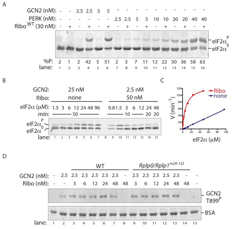 https://cdn.ncbi.nlm.nih.gov/pmc/blobs/fac8/6919976/40073b497be2/elife-50149-fig6.jpg