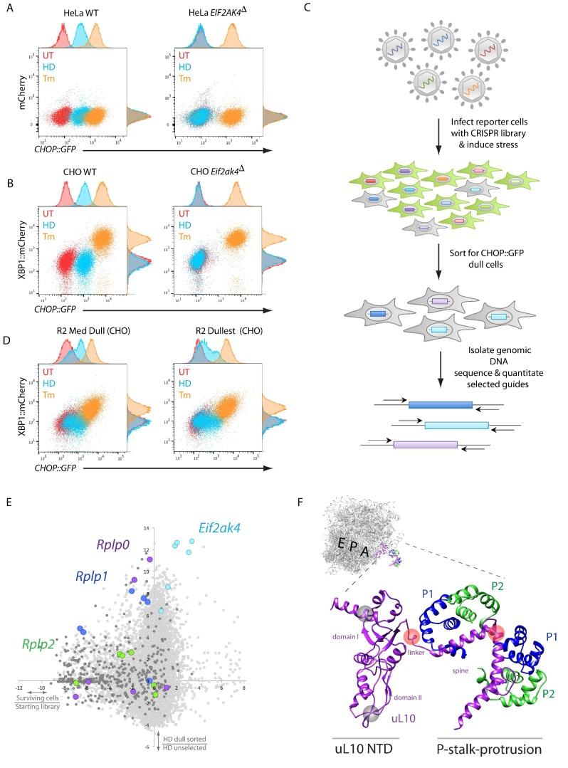 https://cdn.ncbi.nlm.nih.gov/pmc/blobs/fac8/6919976/96ac2e056baf/elife-50149-fig1.jpg