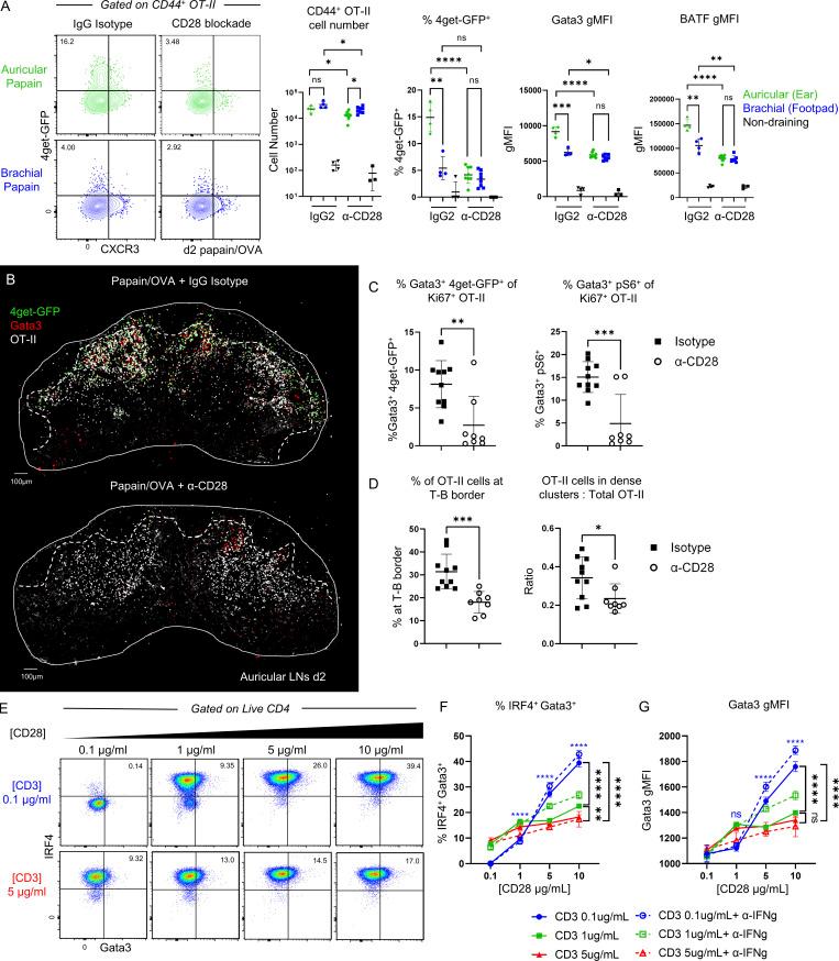 https://cdn.ncbi.nlm.nih.gov/pmc/blobs/fad4/10912907/91cd38efd5ad/JEM_20231282_Fig5.jpg