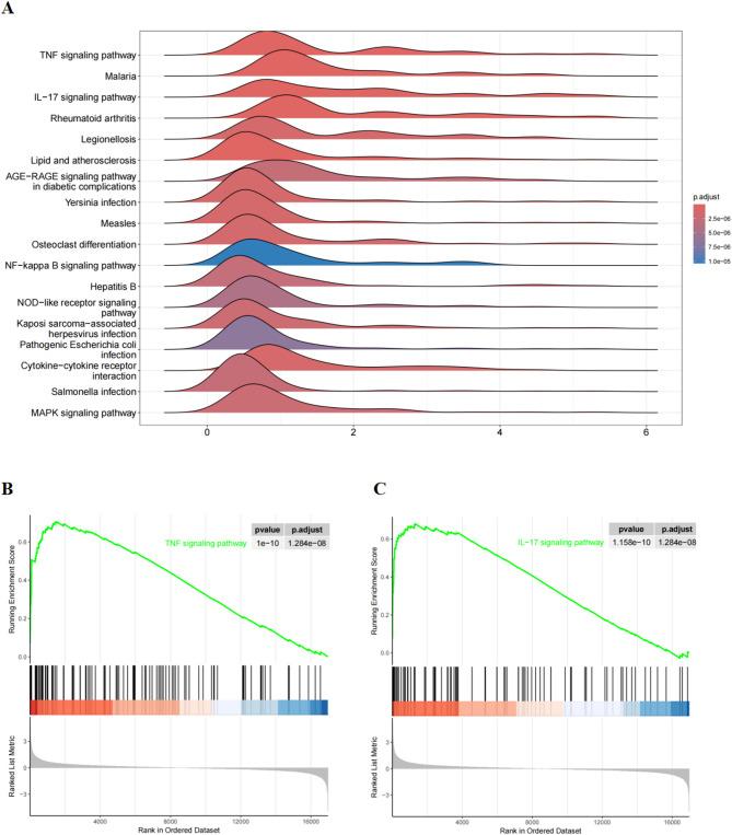 https://cdn.ncbi.nlm.nih.gov/pmc/blobs/fad9/12211224/b7e35990d583/12882_2025_4239_Fig4_HTML.jpg
