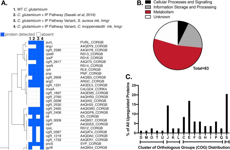 https://cdn.ncbi.nlm.nih.gov/pmc/blobs/faf6/6926172/feba13ca79b0/gr3.jpg