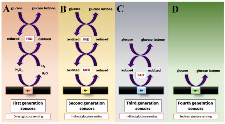 https://cdn.ncbi.nlm.nih.gov/pmc/blobs/fb1c/10296150/a36f553ce426/biosensors-13-00622-g002.jpg