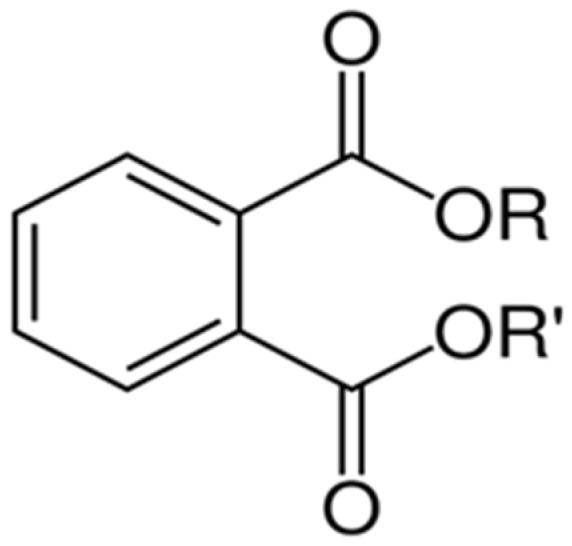 https://cdn.ncbi.nlm.nih.gov/pmc/blobs/fb58/10673500/953fe63b6e3e/molecules-28-07628-g002.jpg