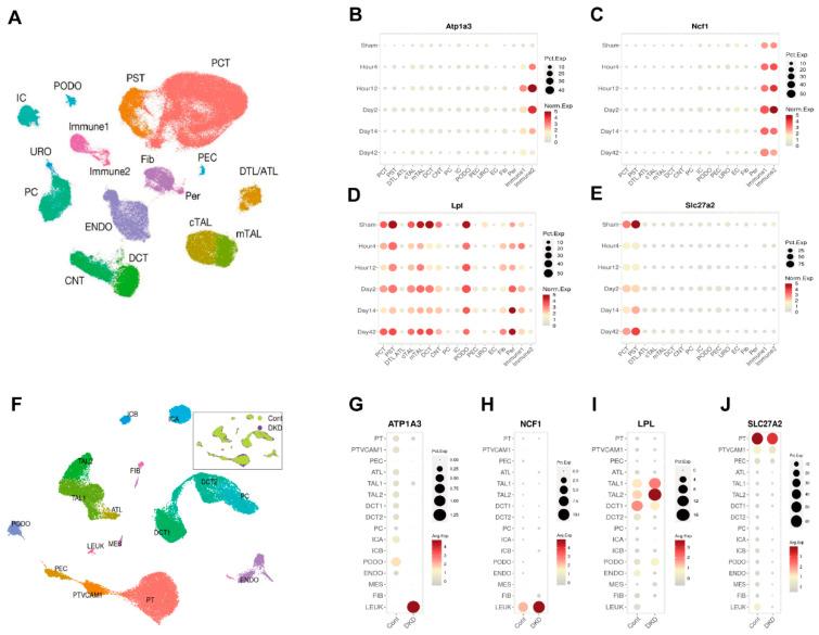 https://cdn.ncbi.nlm.nih.gov/pmc/blobs/fb61/12024732/11b10a1d5e47/biomolecules-15-00498-g006.jpg