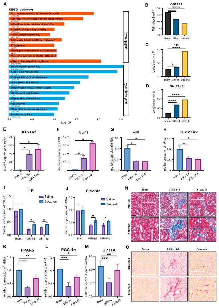 https://cdn.ncbi.nlm.nih.gov/pmc/blobs/fb61/12024732/f87e28fb343f/biomolecules-15-00498-g005.jpg
