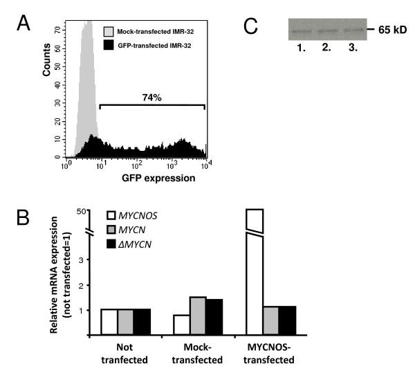 https://cdn.ncbi.nlm.nih.gov/pmc/blobs/fb8f/2720985/51b1443e12a6/1471-2407-9-239-4.jpg