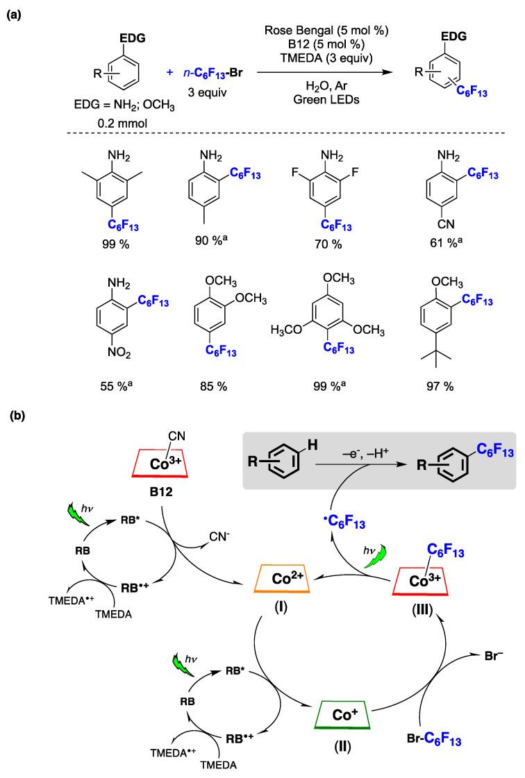 https://cdn.ncbi.nlm.nih.gov/pmc/blobs/fb96/10856544/026d35aedc89/molecules-29-00569-g038.jpg