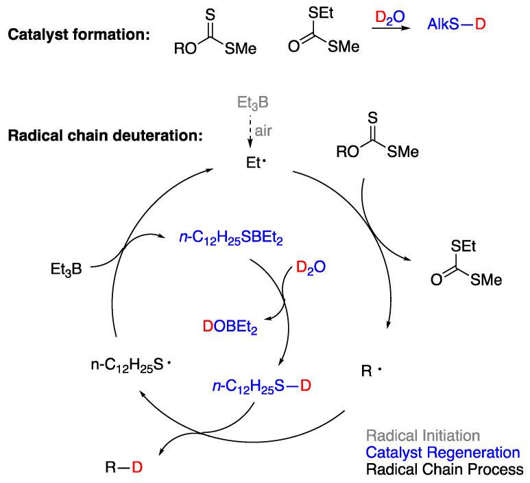 https://cdn.ncbi.nlm.nih.gov/pmc/blobs/fb96/10856544/24c6fc0a4222/molecules-29-00569-g018.jpg