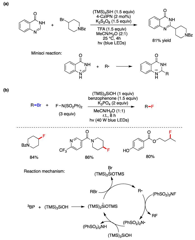 https://cdn.ncbi.nlm.nih.gov/pmc/blobs/fb96/10856544/418c1b95b25e/molecules-29-00569-g005.jpg