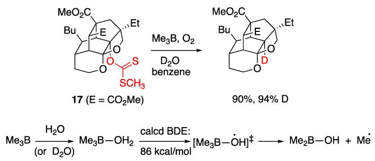 https://cdn.ncbi.nlm.nih.gov/pmc/blobs/fb96/10856544/448b6126e6a8/molecules-29-00569-g015.jpg