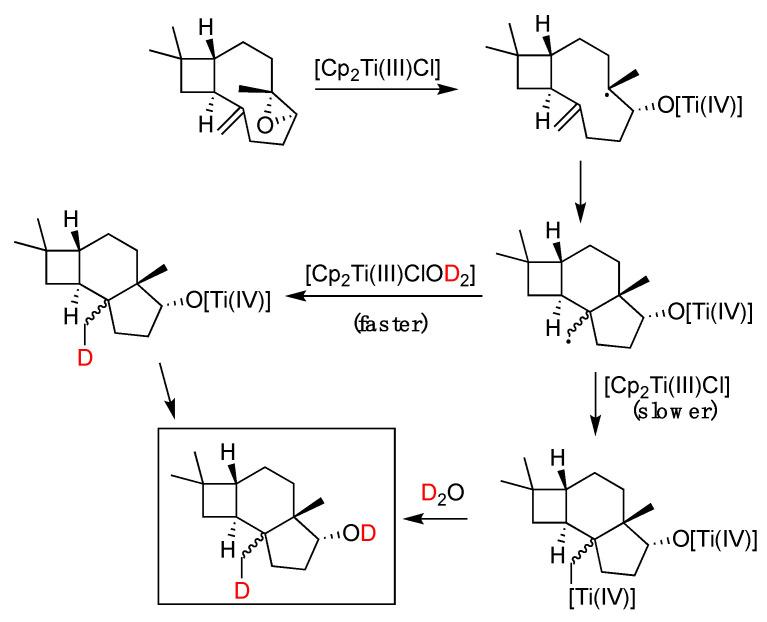 https://cdn.ncbi.nlm.nih.gov/pmc/blobs/fb96/10856544/78e234c83b77/molecules-29-00569-g022.jpg