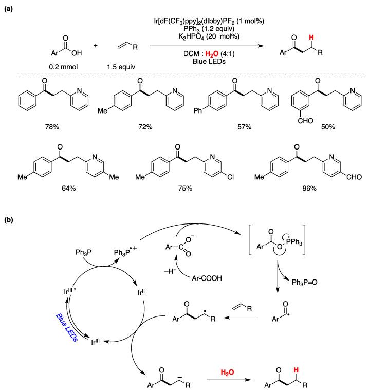 https://cdn.ncbi.nlm.nih.gov/pmc/blobs/fb96/10856544/7ab2a37d98d6/molecules-29-00569-g031.jpg
