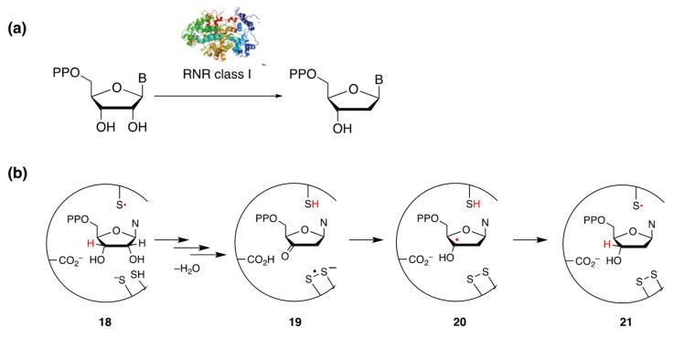 https://cdn.ncbi.nlm.nih.gov/pmc/blobs/fb96/10856544/84770d25be1d/molecules-29-00569-g044.jpg