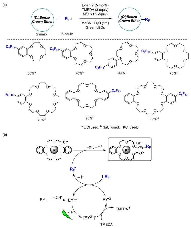 https://cdn.ncbi.nlm.nih.gov/pmc/blobs/fb96/10856544/9ff6744c4495/molecules-29-00569-g039.jpg