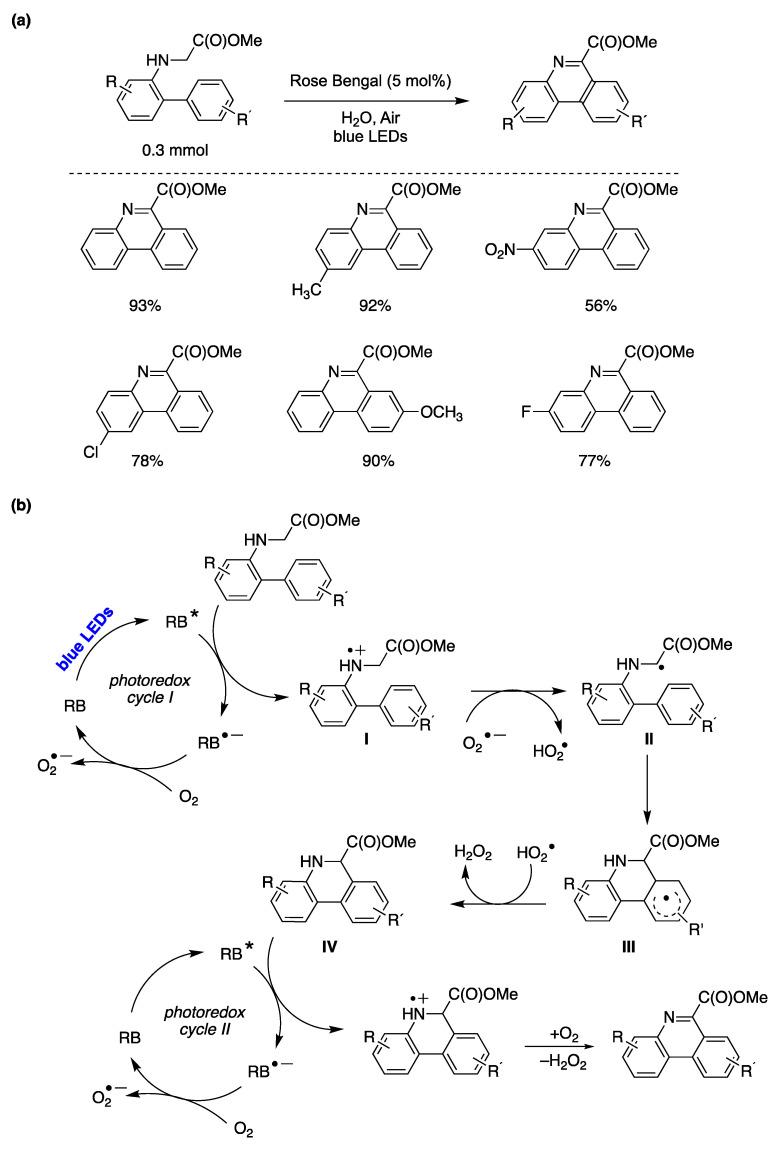 https://cdn.ncbi.nlm.nih.gov/pmc/blobs/fb96/10856544/b8c505e2a315/molecules-29-00569-g037.jpg