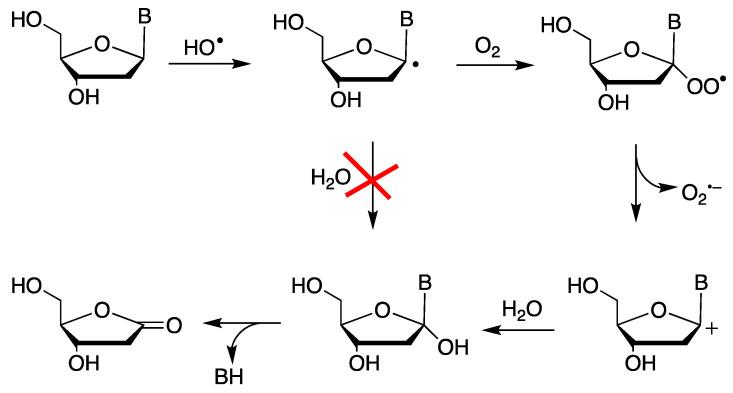 https://cdn.ncbi.nlm.nih.gov/pmc/blobs/fb96/10856544/c0a85f4608ea/molecules-29-00569-g001.jpg