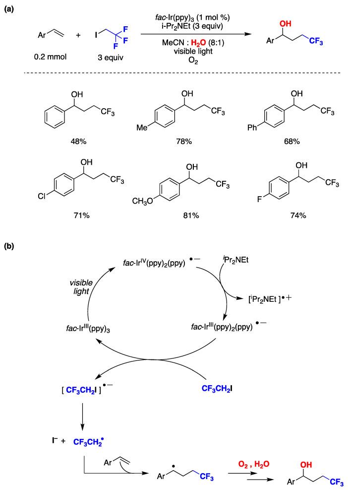 https://cdn.ncbi.nlm.nih.gov/pmc/blobs/fb96/10856544/c2c266b55fce/molecules-29-00569-g029.jpg