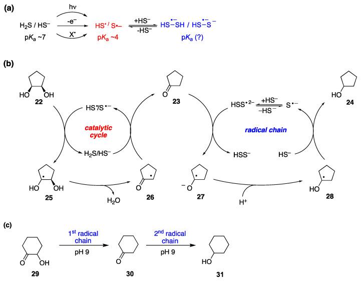 https://cdn.ncbi.nlm.nih.gov/pmc/blobs/fb96/10856544/f64347c7a872/molecules-29-00569-g045.jpg