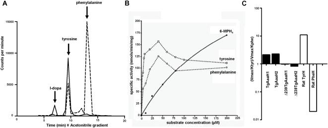 https://cdn.ncbi.nlm.nih.gov/pmc/blobs/fbc8/2653193/796b6124e0bc/pone.0004801.g004.jpg