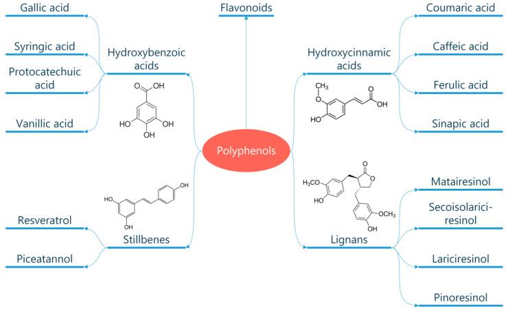 https://cdn.ncbi.nlm.nih.gov/pmc/blobs/fbd0/10302379/1cae4f15194a/metabolites-13-00712-g002.jpg