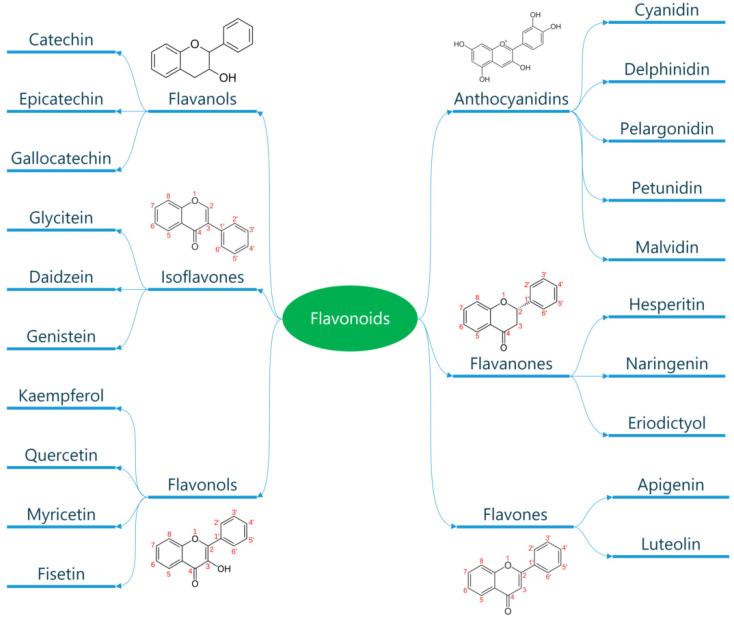 https://cdn.ncbi.nlm.nih.gov/pmc/blobs/fbd0/10302379/50c8832bb97d/metabolites-13-00712-g003.jpg