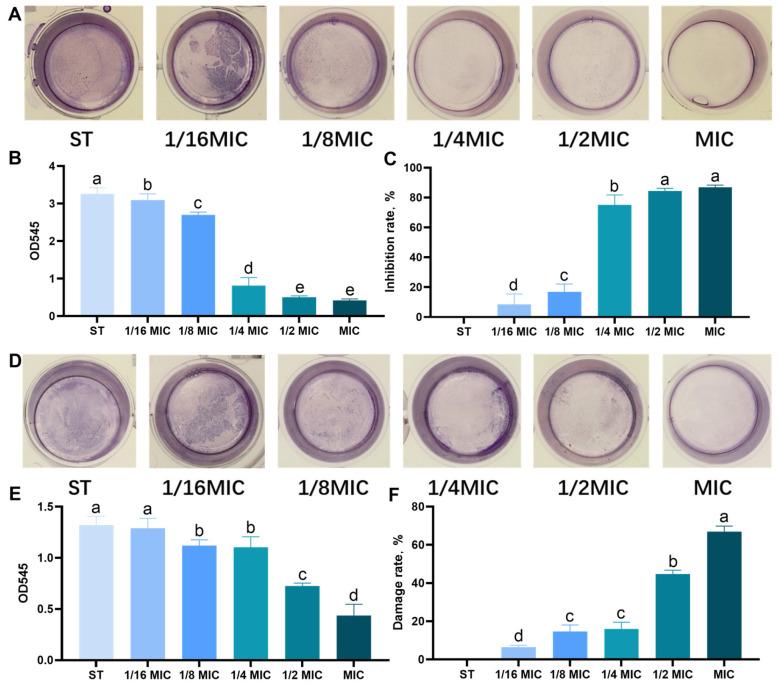 https://cdn.ncbi.nlm.nih.gov/pmc/blobs/fbd7/12299142/0a7be92decad/microorganisms-13-01540-g002.jpg