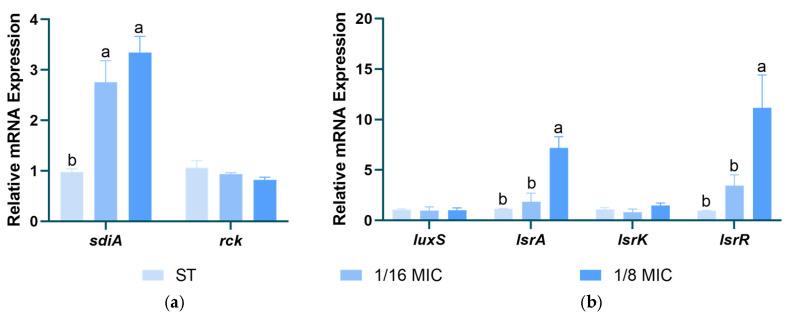 https://cdn.ncbi.nlm.nih.gov/pmc/blobs/fbd7/12299142/9e886b634c2a/microorganisms-13-01540-g009.jpg