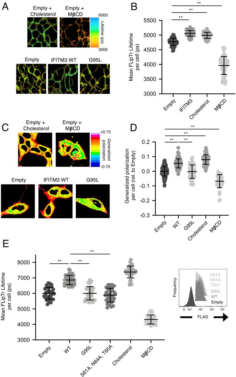 https://cdn.ncbi.nlm.nih.gov/pmc/blobs/fbdf/7665892/22bc888579b0/elife-58537-fig6-figsupp1.jpg