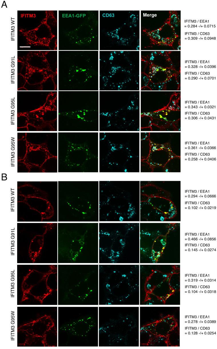 https://cdn.ncbi.nlm.nih.gov/pmc/blobs/fbdf/7665892/91b509709f85/elife-58537-fig2-figsupp1.jpg