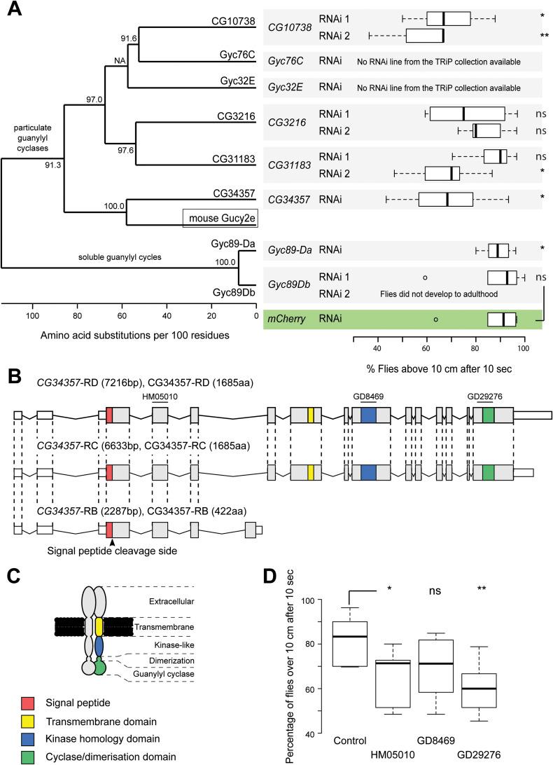 https://cdn.ncbi.nlm.nih.gov/pmc/blobs/fbe6/10876440/032c627c9cda/LSA-2023-02289_FigS5.jpg