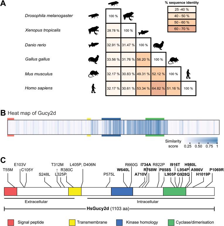 https://cdn.ncbi.nlm.nih.gov/pmc/blobs/fbe6/10876440/1c6dc45ee255/LSA-2023-02289_FigS9.jpg