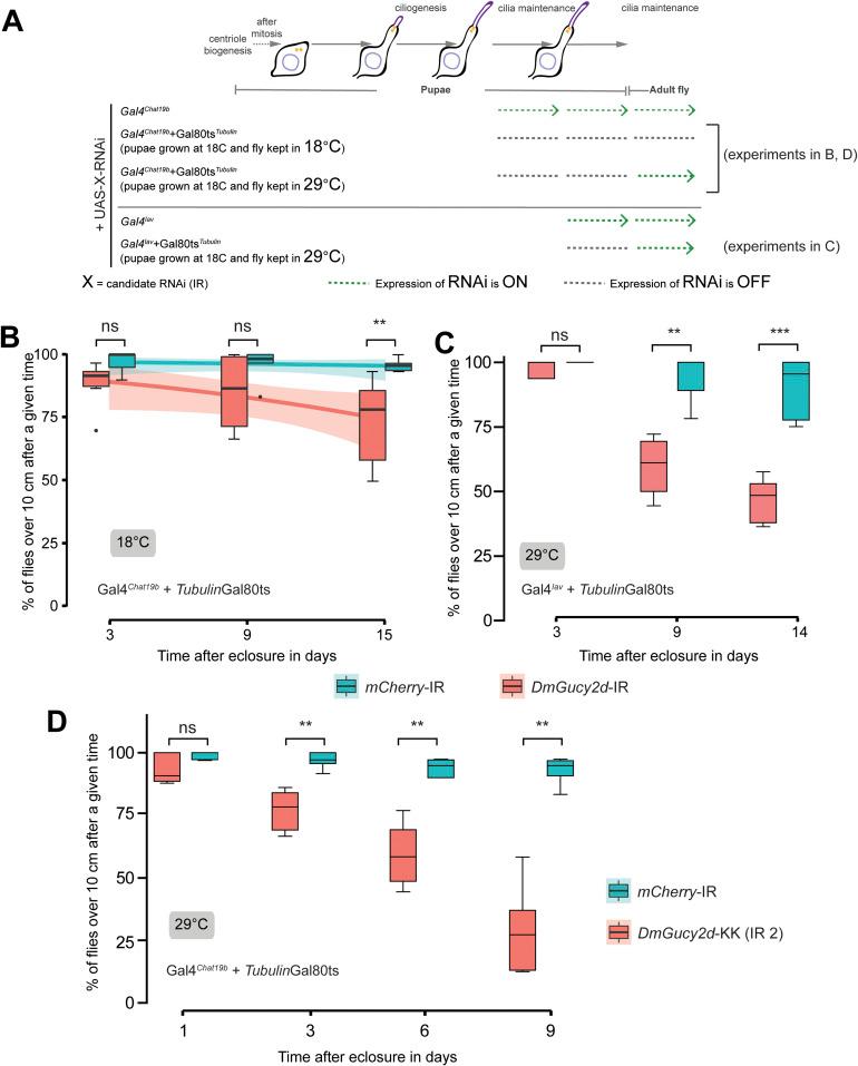 https://cdn.ncbi.nlm.nih.gov/pmc/blobs/fbe6/10876440/c84623f70d4d/LSA-2023-02289_FigS7.jpg