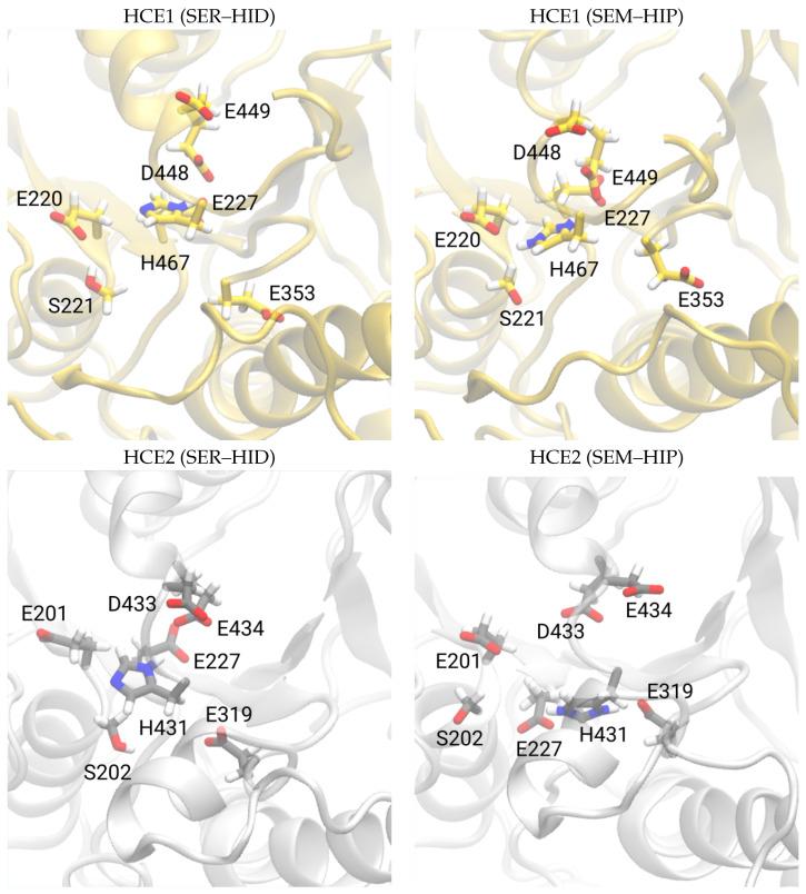 https://cdn.ncbi.nlm.nih.gov/pmc/blobs/fbf4/10886758/351d9c88c54a/biomolecules-14-00153-g004.jpg