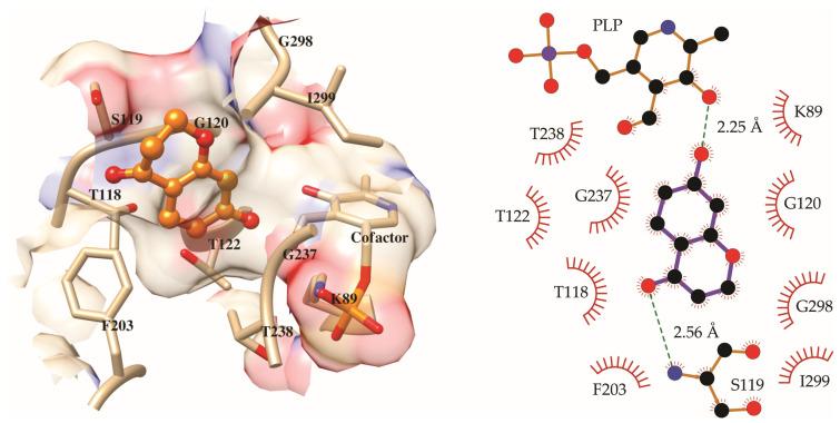 https://cdn.ncbi.nlm.nih.gov/pmc/blobs/fbf6/12430254/10422a535733/molecules-30-03575-g003.jpg