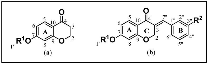 https://cdn.ncbi.nlm.nih.gov/pmc/blobs/fbf6/12430254/35085ae5424f/molecules-30-03575-g001.jpg