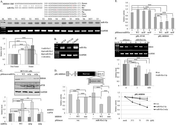 https://cdn.ncbi.nlm.nih.gov/pmc/blobs/fbfc/4741983/7b733783656e/oncotarget-06-38046-g002.jpg