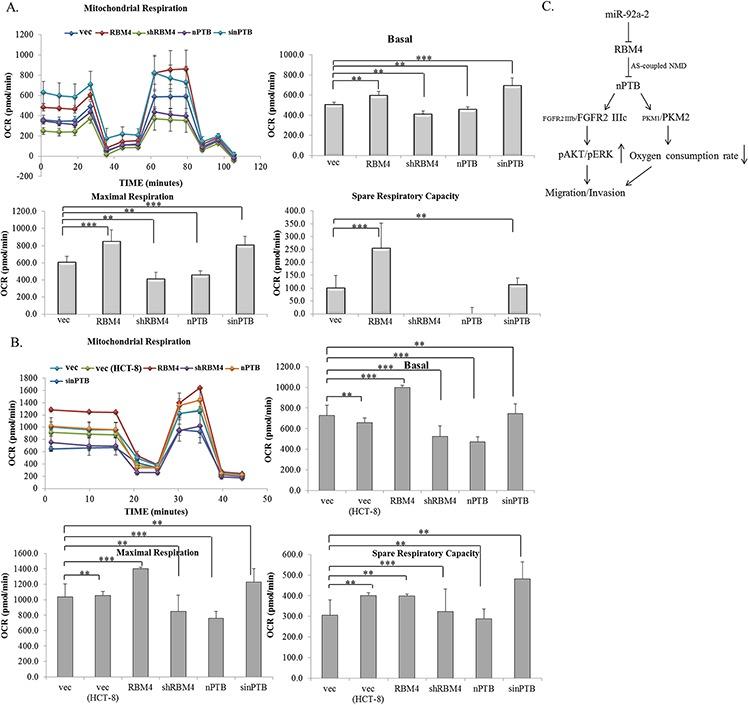 https://cdn.ncbi.nlm.nih.gov/pmc/blobs/fbfc/4741983/e07540acd8e1/oncotarget-06-38046-g007.jpg