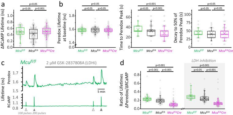 https://cdn.ncbi.nlm.nih.gov/pmc/blobs/fbfc/7870136/3ae79cdb7d74/elife-64821-fig3-figsupp4.jpg