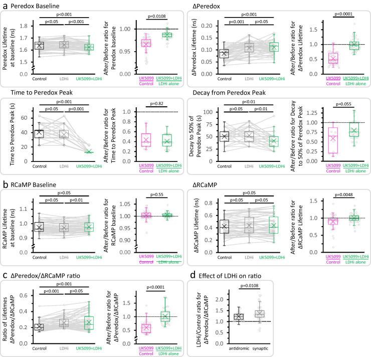 https://cdn.ncbi.nlm.nih.gov/pmc/blobs/fbfc/7870136/4b44e8cdd095/elife-64821-fig2-figsupp5.jpg