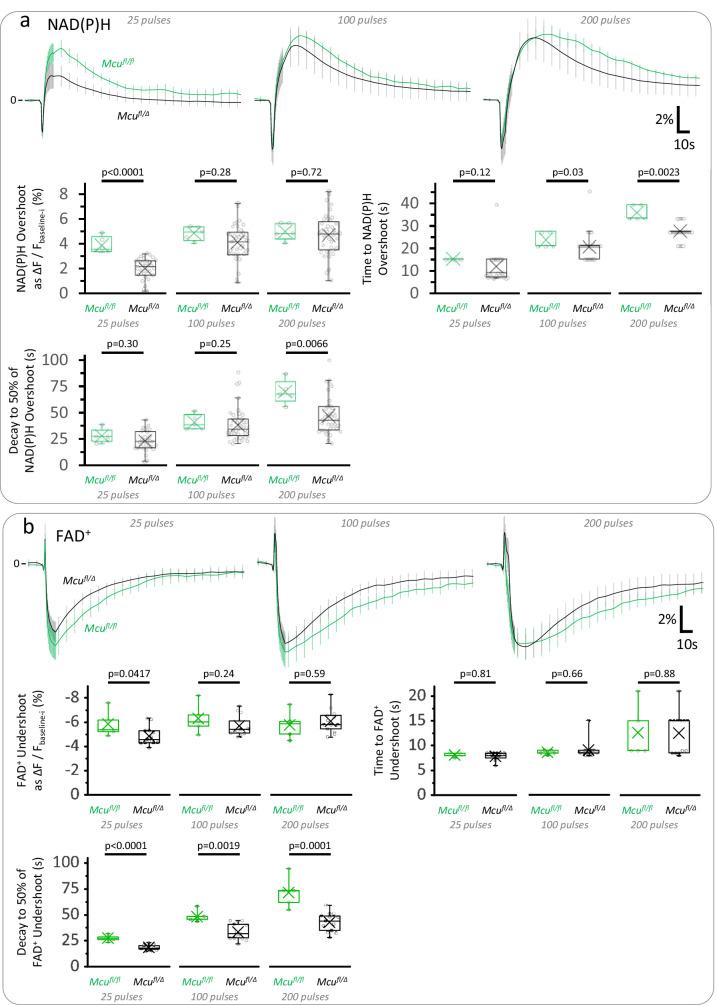 https://cdn.ncbi.nlm.nih.gov/pmc/blobs/fbfc/7870136/5e754ffcb3e3/elife-64821-fig3-figsupp5.jpg