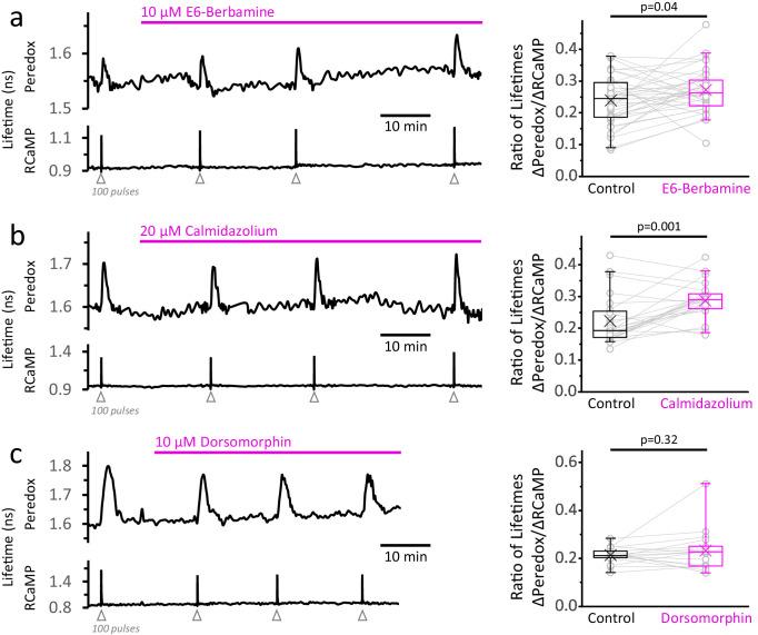 https://cdn.ncbi.nlm.nih.gov/pmc/blobs/fbfc/7870136/5f7264551238/elife-64821-fig5.jpg