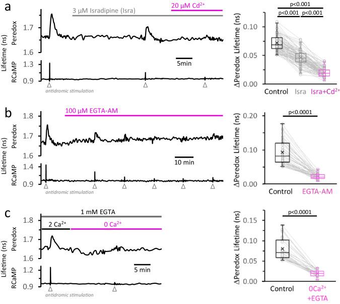 https://cdn.ncbi.nlm.nih.gov/pmc/blobs/fbfc/7870136/602b81265ec8/elife-64821-fig4.jpg