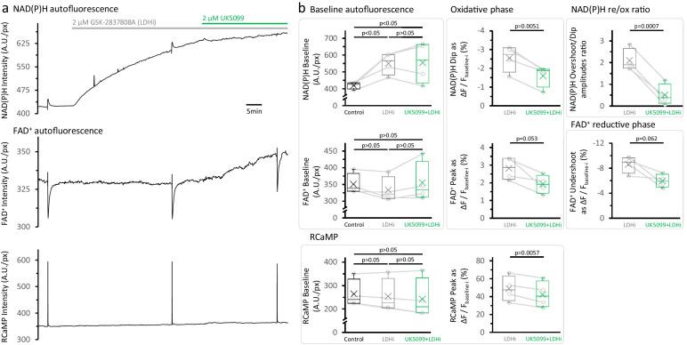 https://cdn.ncbi.nlm.nih.gov/pmc/blobs/fbfc/7870136/878056638bdf/elife-64821-fig2-figsupp6.jpg